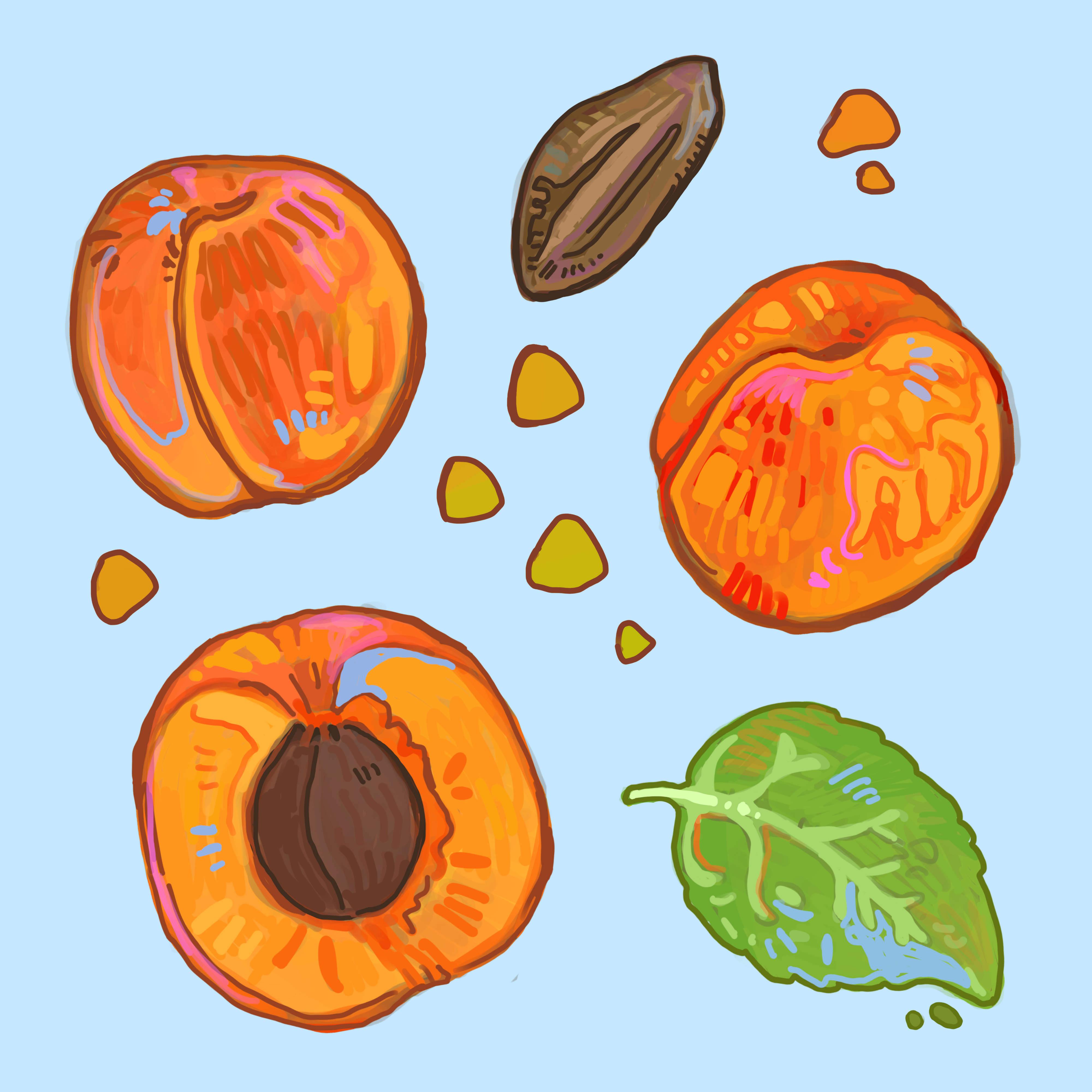 peach i.PNG